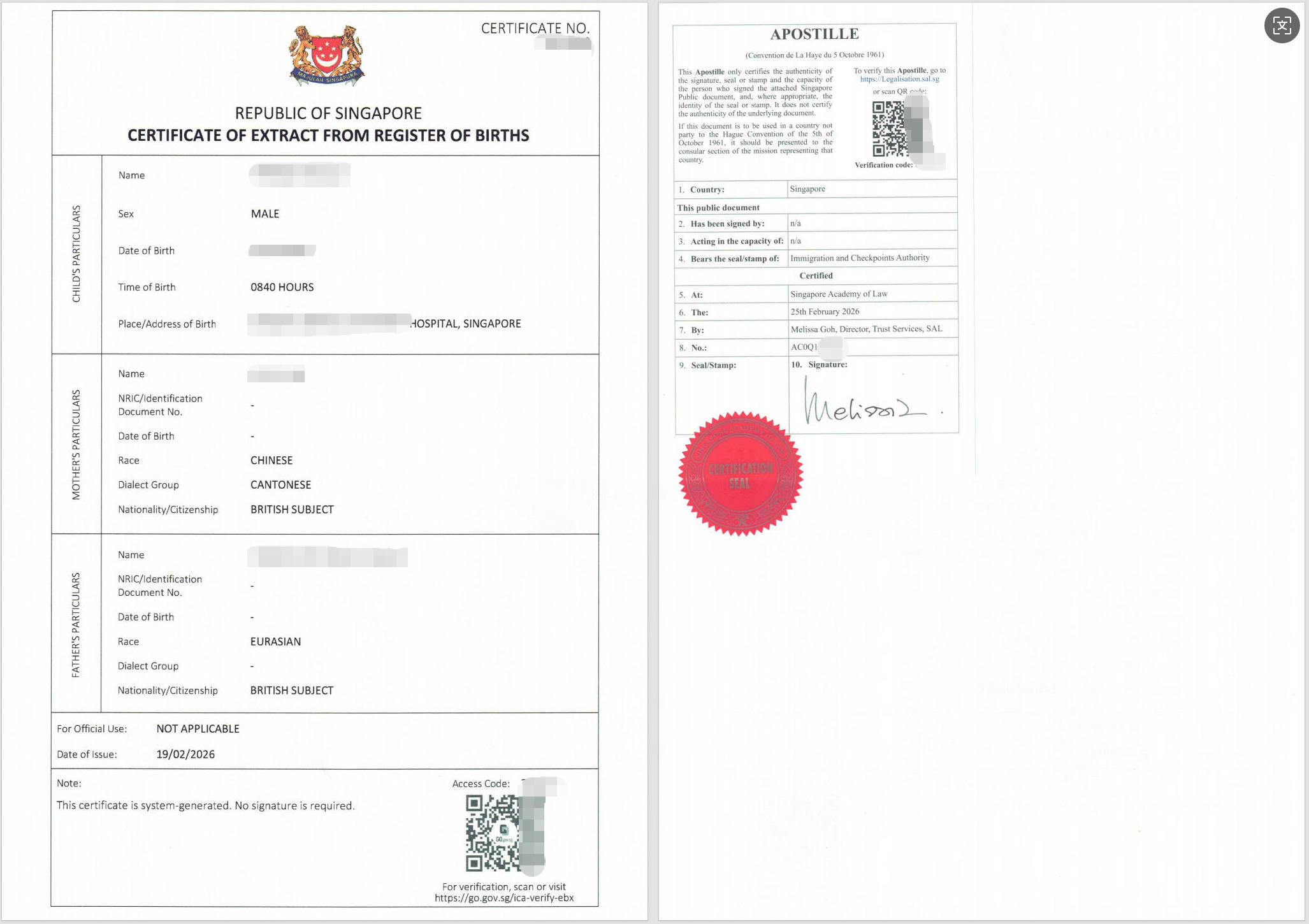 Birth_Certificate_Apostille.jpg Birth_Certificate_Apostille.jpg