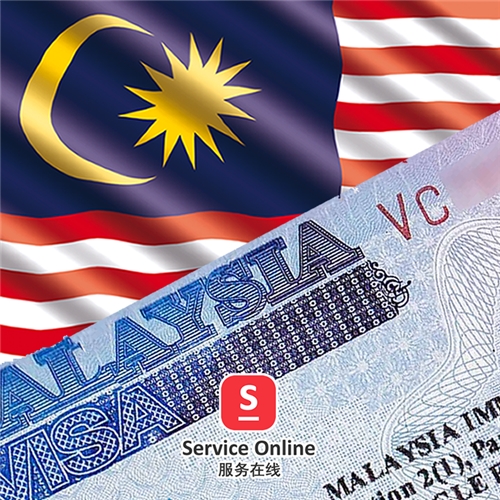 Малайзия виза 2024. Виза в Малайзию. Сингапур виза. Виза в Малайзию для россиян.