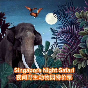 Singapore Night Safari Ticket