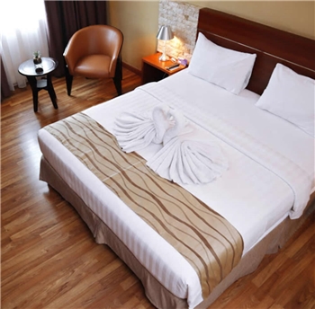 Batam Da Vienna Hotel Tour Package